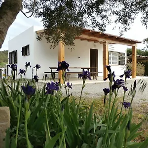  Ferienhaus Sa Vinya Spanien